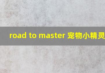 road to master 宠物小精灵吧